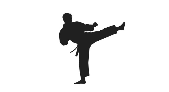 Silhouette of man kicking high.