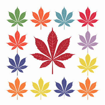 Collection of Colorful Horse Chestnut Leaves