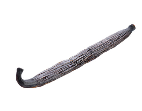 Aromatic vanilla beans isolated PNG, natural flavoring ingredient for baking and desserts on transparent background