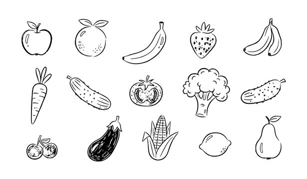 Hand drawn fruits and vegetables crayon doodle set simple food drawings