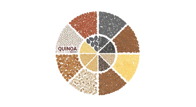 Variety of quinoa grain types.