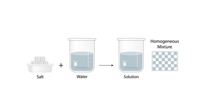 Homogeneous mixture, uniform composition, salt and water. Solubility, solute and solvent. Chemistry experiment. Scientific design. Vector illustration.