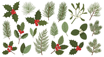 Collection of Christmas winter plants holly berry branches and pine needle foliage © Tukang