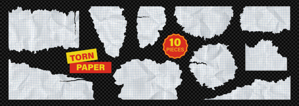 Paper square lined collection of torn ripped rip grid notebook white sheet. Set bundle kit of wrinkled piece for collage. Craft math cardboard folded crumpled school note on like transparent png bg
