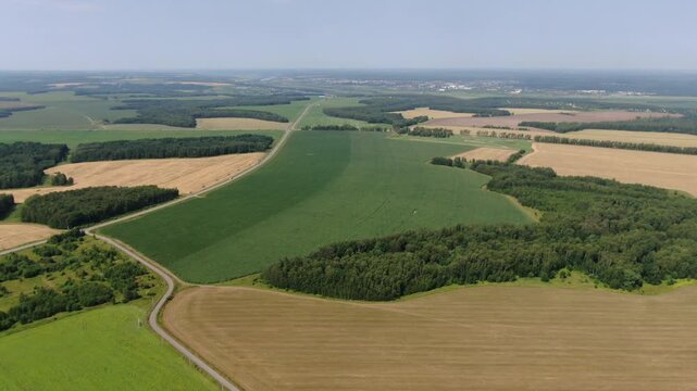 Drone flying forward descending toward corn field