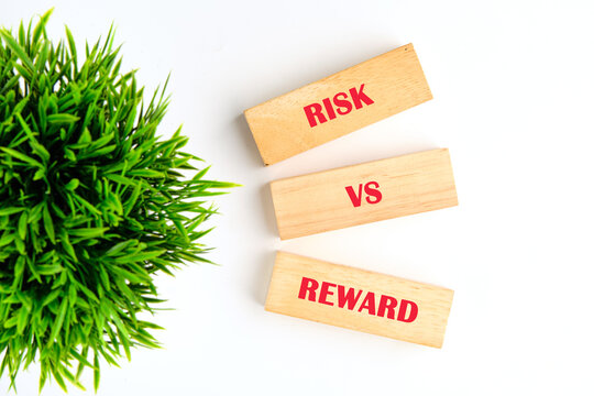 Three wooden blocks arranged diagonally display the words RISK VS REWARD in red. A vibrant green plant sits near the blocks on a clean white surface