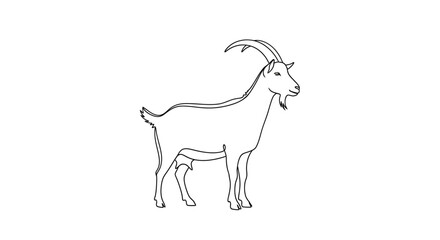 Fototapeta premium Simple Line Art Drawing of a Goat Standing on White Background
