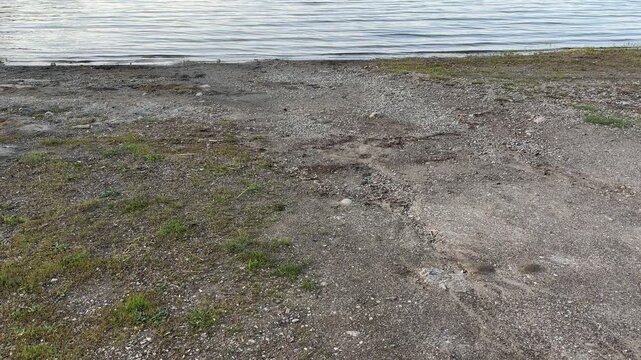 A quiet dirt path leads down to the gentle ripples of a lake. The empty shoreline feels lonely and still in the soft light. This simple view of nature offers a sense of peace and solitude.