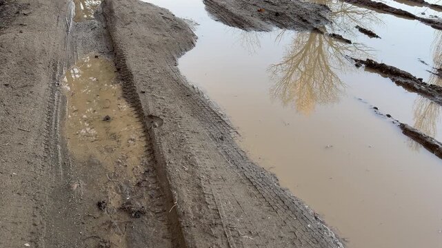 Clear puddles sit in deep tire tracks on a messy dirt path. The reflection of a leafless tree adds a lonely, quiet feeling to the cold landscape. It is a damp and gloomy day in the countryside.