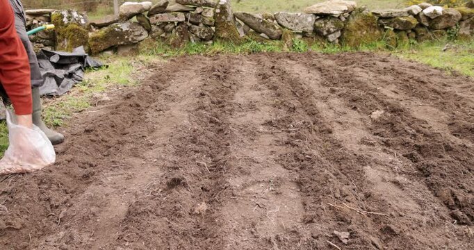 Farmer sowing seeds by hand in a field