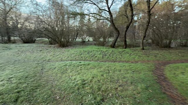A wide meadow covered in morning frost sits next to a dark grove of pine trees. The cold air and quiet open space create a lonely yet beautiful feeling in the winter landscape.