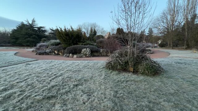 Cold morning frost covers the grass and decorative garden bushes. Tall trees stand against a clear sky as the path winds through the quiet landscape. The scene feels refreshing, still, and very calm.