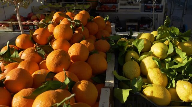 Colorful citrus fruits at local outdoor market