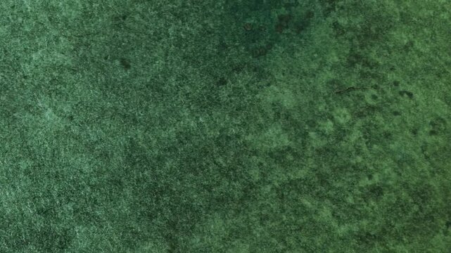 Aerial top down view of emerald green ocean water with coral reefs and moving sea floor textures.