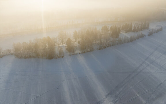 Aerial view of snow-covered landscape with a line of frosted trees under a thick morning mist and golden sunlight Lapland, Finland.