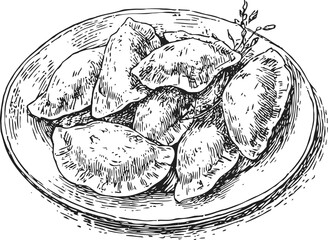 Obraz premium Hand drawn pierogi on a plate with herbs, traditional eastern european dumplings sketch