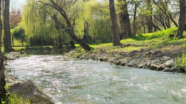 Bright sunlight glitters on a gentle river as it curves past leaning trees and grassy banks. The warm, peaceful atmosphere evokes a feeling of quiet joy and relaxation. Nature feels alive and fresh.