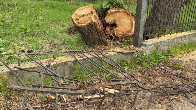 A heavy tree stump sits behind a twisted iron fence on the grass. The scene feels chaotic and sad after the powerful impact. Yellow sawdust covers the ground where the wood was cut.