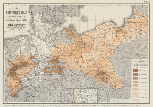 Prussian antique map in german language. Forest clearing areas. Prussia