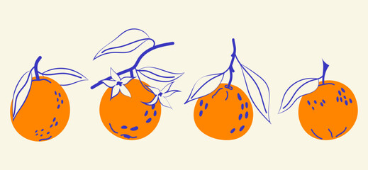 Fototapeta premium Set fresh oranges on a branch with leaves. Fresh tropical fruit. Natural citrus illustration for packaging, food branding and organic products.