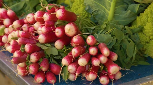 Organic radish bunches on market table