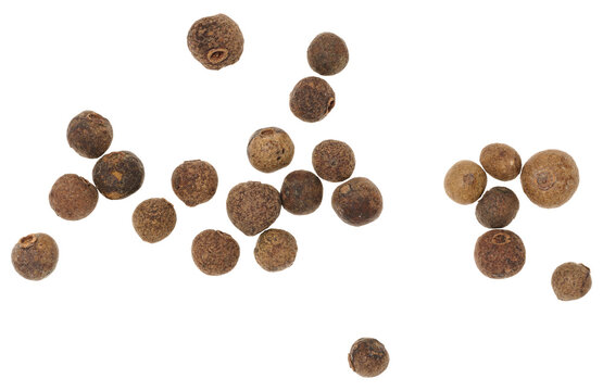 Scattered allspice on isolated background, top view