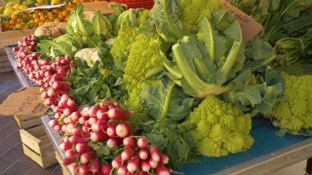Organic produce at outdoor vegetable market
