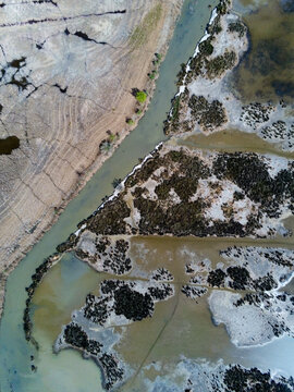 Aerial view of the intricate patterns of wetlands and salt marshes with winding water channels and coastal vegetation in Saint-Laurent-d'Aigouze, Occitanie, France.