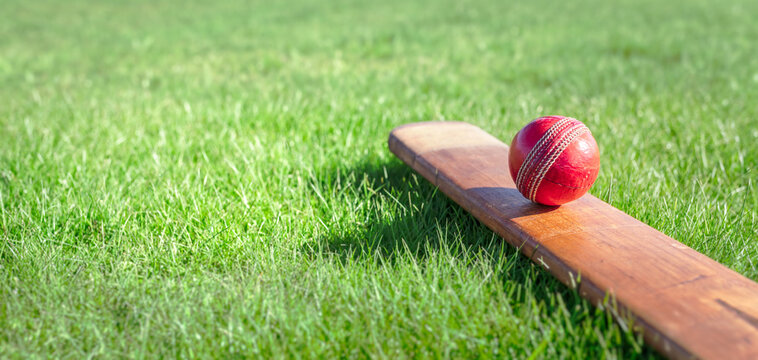 Cricket bat and ball on grass of cricket ground background