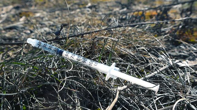 Used plastic syringe discarded on the dry grass in a park representing the serious social problems of drug addiction, substance abuse, and environmental pollution