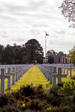 Alignement de croix latines en marbre blanc dans un cimeti&egrave;re militaire verdoyant sous un ciel bleu clair, rendant hommage aux soldats tomb&eacute;s.