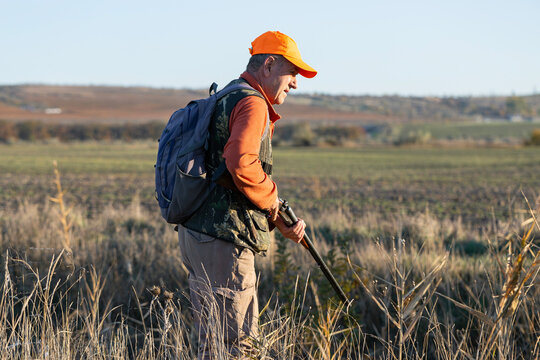 A hunter with a gun in camouflage clothing. A senior man with a gun, medium shot, searching for game.