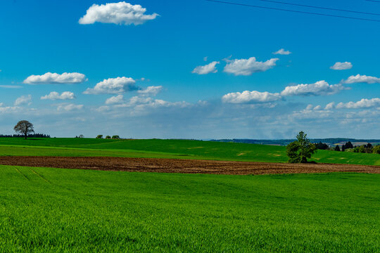 Agrarlandschaft im Fr&uuml;hjahr