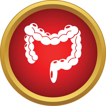 White large intestine symbol on a red circle with a gold border