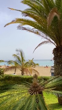 View of  El Camison beach, Tenerife,Canary Islands,Spain. Travel or vacation concept,4K.