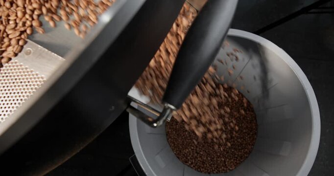 Top view coffee beans pouring from industrial roaster drum into industrial hopper, dark light.