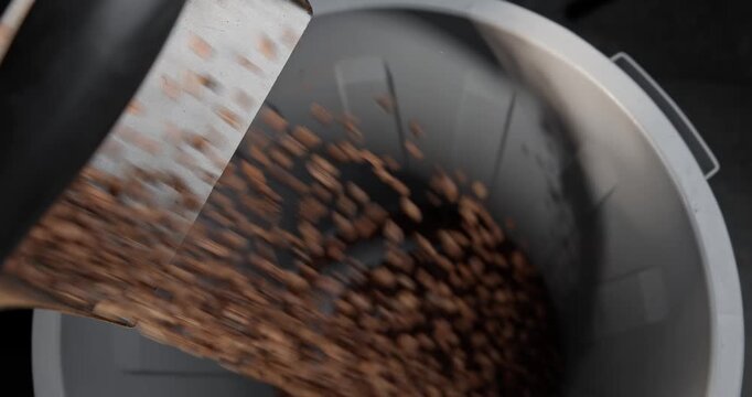 Top view coffee beans pouring from industrial roaster drum into industrial hopper, dark light.