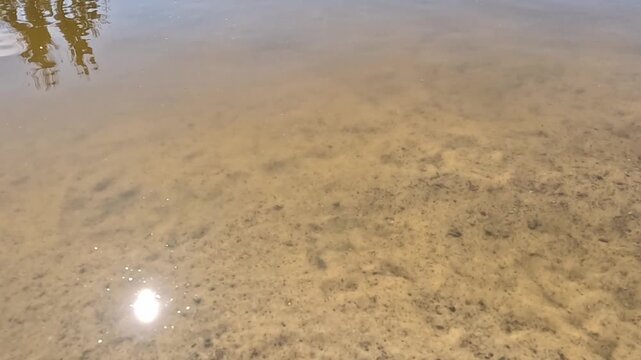 Camera slowly pans over clear shallow lake with sandy bottom in spring daytime, sun glare shifts across water surface and dark rock gradually becomes visible underwater.