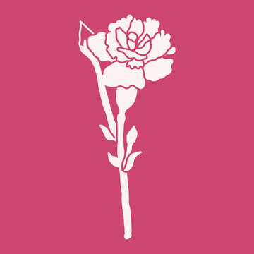 Artistic carnation floral vector set showcasing delicate hand-drawn flowers with a natural and elegant appearance. Includes a variety of carnation elements suitable for creating bouquets, patterns, an