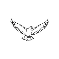 Fototapeta premium Stylized black and white outline illustration of an eagle or hawk flying with wings spread