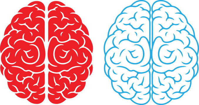 Human brain vector illustration set in red and blue colors, mental health and intelligence concept