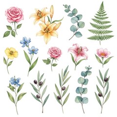 Fototapeta premium Watercolor collection of flowers, ferns, eucalyptus, and olive branches