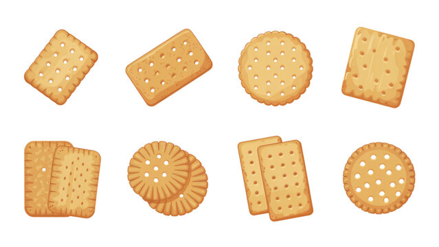 A vector graphic illustration of various crackers on a transparent background