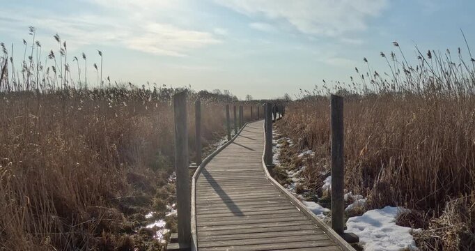 Lammassaari Nature Boardwalk passing through a wetland area in spring, Viikinranta, Helsinki, Finland, Europe.
