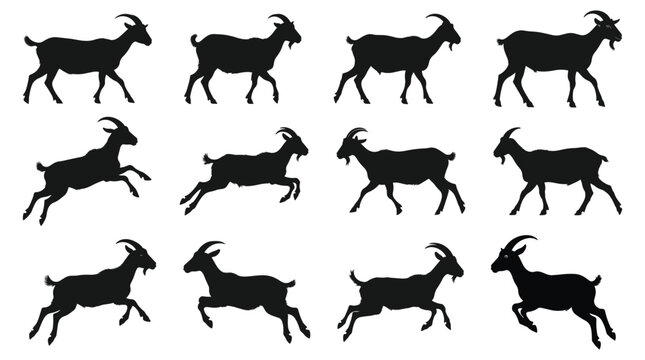 Goat silhouette eid elements: Goats in various positions walking running jumping silhouette.