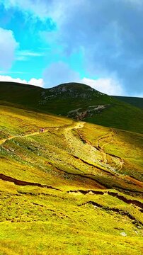 View of a dirt path splitting into two directions on a steep green and yellow hillside under a cloudy sky. Narrow hiking trail junction on a grassy mountain slope. Vertical video.