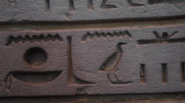 Ancient egyptian hieroglyphs with a bird symbol carved in stone. Artistic representation of the ancient scripture of pharaohs, mythology, gods, and sacred rituals