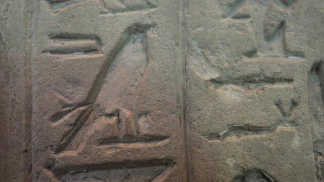 Ancient egyptian hieroglyphs and symbols carved on a stone wall, representing gods, civilization, history, and culture, with light moving over the stone texture