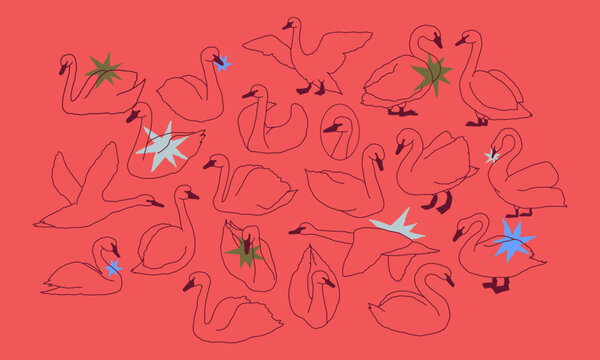 Elegant set of hand-drawn swan vector illustrations featuring graceful, flowing linework and a modern minimalist aesthetic. This collection includes swans in various poses, capturing their beauty, ele