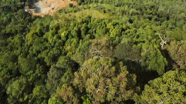 Aerial drone view of deforestation land clearing and forest landscape
